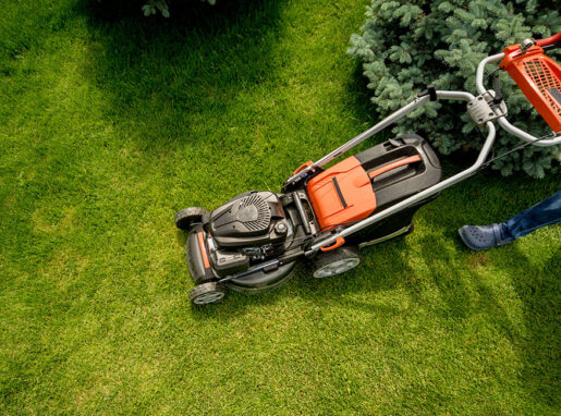 A professional lawnmower cutting grass, creating a neatly trimmed, lush green lawn in Lea Valley